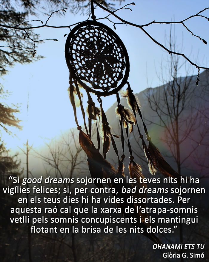 Si qui t’estima teixeix per a tu un Dreamcatcher…