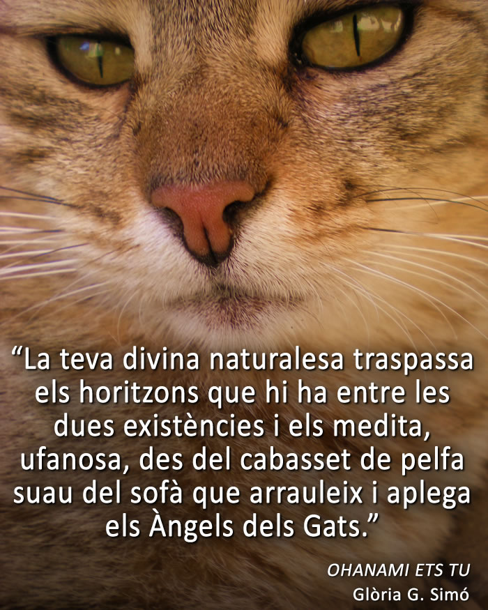 BASTET JO SOC. OHANAMI ETS TU.